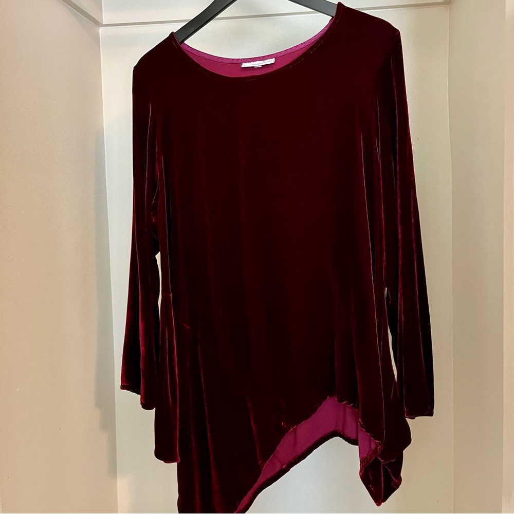 Bryn Walker Asymmetrical Velvet Top